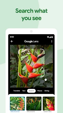 #4 - Software screenshot