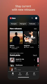 #5 - Software screenshot