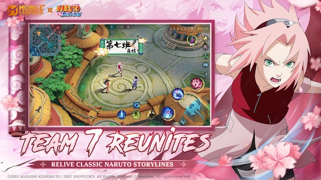 #4 - Software screenshot